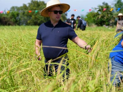 SS Rice News Convention 2025, Pattaya - Thailand